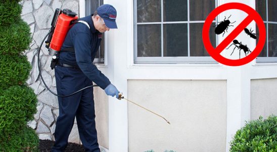 Banaz Hamam Böceği İlaçlama böcek ilaçlama ve haşere kontrolü — ilaclama-tr.com